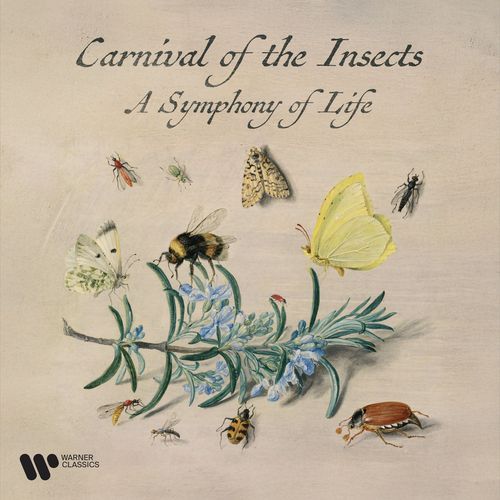 Carnival of the Insects - A Symphony for Life