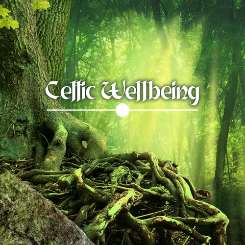 Celtic Wellbeing: Spirit of Harmony, Improve Your Health, Feel Better_poster_image