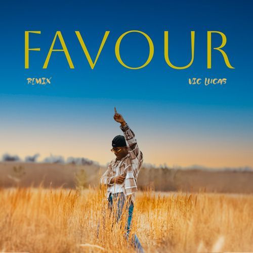 Favour (Remix) cover art