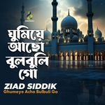 Ghumeye Acho Bulbuli Go