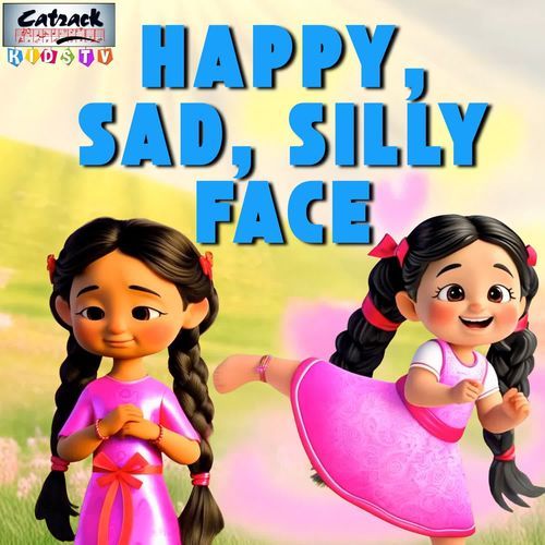 Happy Sad Silly Face