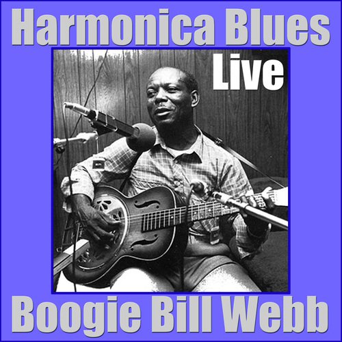 Harmonica Blues (Live)