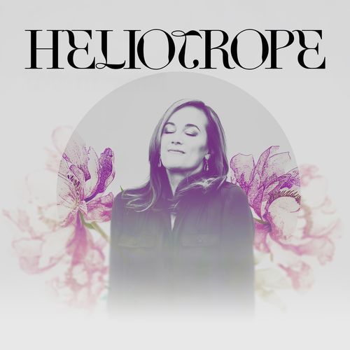 Heliotrope
