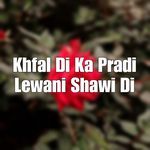 Khfal Di Ka Pradi Lewani Shawi Di
