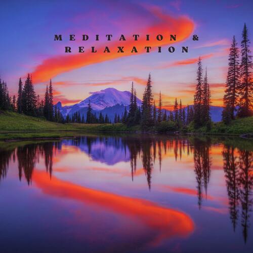 Meditation & Relaxation