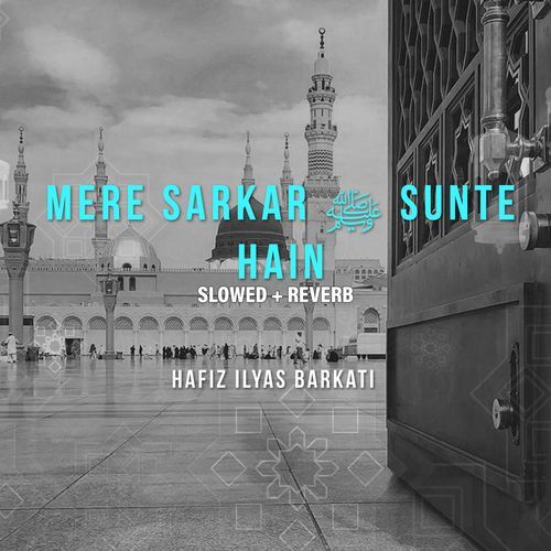 Mere Sarkar Sunte Hain (Lofi-Mix)