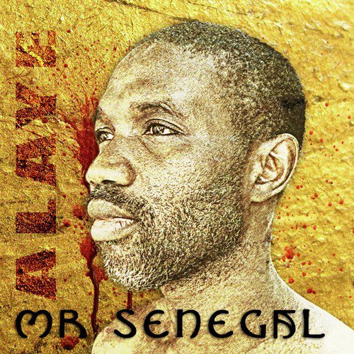 Mr Senegal_poster_image