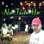 Na Tum Ho