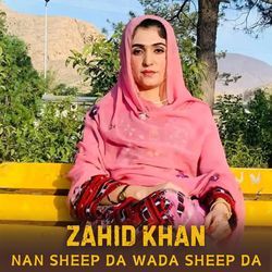 Nan Sheep Da Wada Sheep Da-GykyaEd1UF8