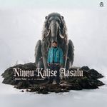 Ninnu Kalise Aasalu artwork