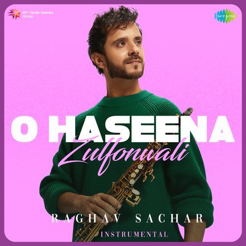 O Haseena Zulfonwali - Instrumental