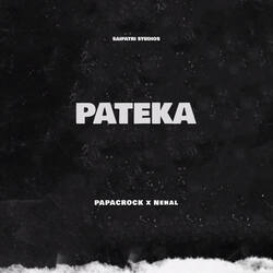 Pateka-RSUhS0VaA0Q