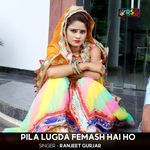 Pila Lugda Femash Hai Ho