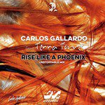 Rise Like a Phoenix