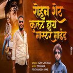 Rohan Shet Kulat Hay Master Mind