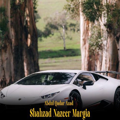 Shahzad Nazeer Margia cover art