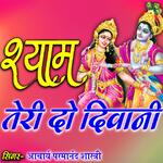 Shyam Teri Do Diwani