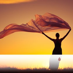 Oiseaux et Mer Cosmique Relaxante