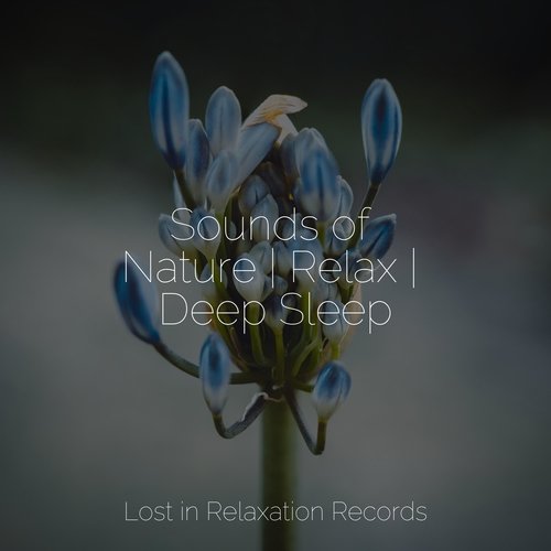 Sounds of Nature | Relax | Deep Sleep