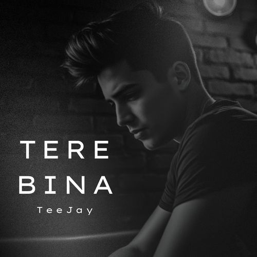 Tere Bina