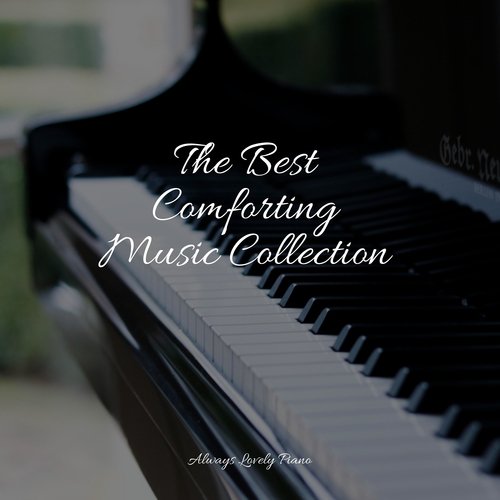 The Best Comforting Music Collection