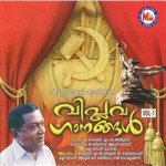 Nettiyil Ottachurulmudi