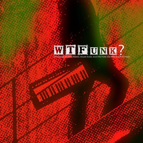 Wtfunk? (Panorama of Deep Minimal House Music, Electro Funk and Berlin Dub Techno)