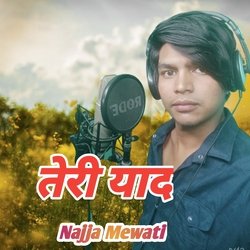 तेरी याद नाज़ mewati-CAoTbiZGWGo