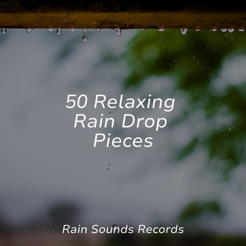 50 Relaxing Rain Drop Pieces