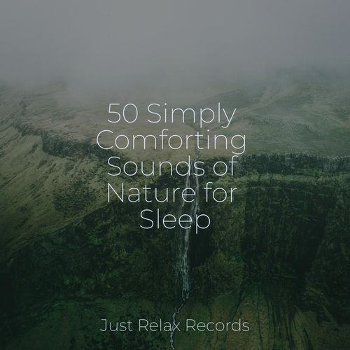 50 Simply Comforting Sounds of Nature for Sleep