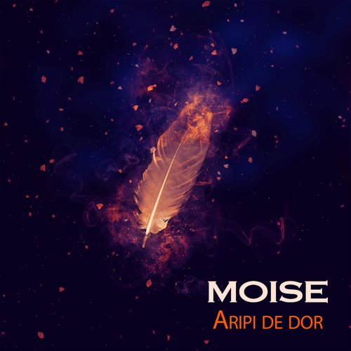 Aripi de dor_poster_image