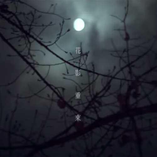 花影重來