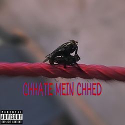 CHHATE MEIN CHHED