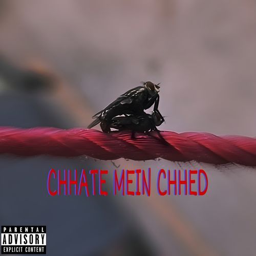 CHHATE MEIN CHHED