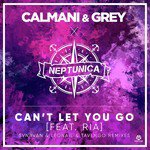 Can't Let You Go (Svniivan & Leonail & Tavengo Remix)