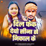 Dil Fek Debo Sina Se Nikal Ke