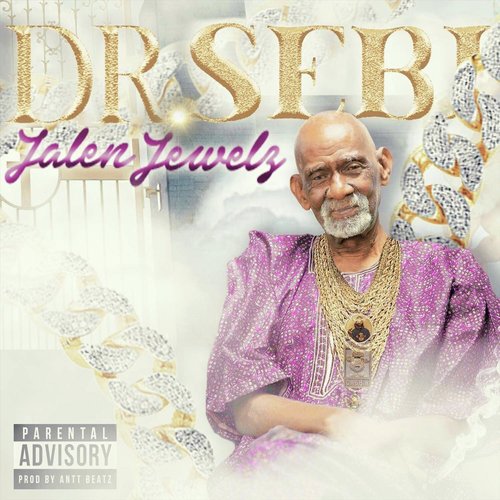 Dr. Sebi_poster_image