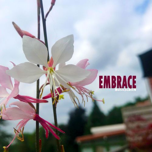 Embrace cover art