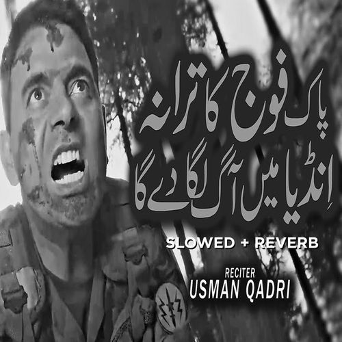 Fauj Hamari Number 1 (Lofi-Mix)