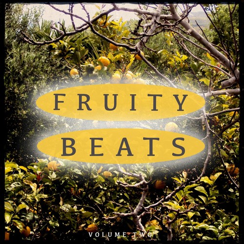 Fruity Beats, Vol. 2 (Amazing Deep House Music)