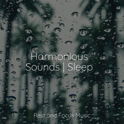 Harmonious Sounds | Sleep