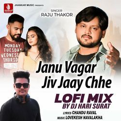 Janu Vagar Jiv Jaay Chhe Lofi Mix-GBgHZSNKXGM