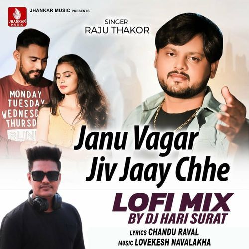 Janu Vagar Jiv Jaay Chhe Lofi Mix