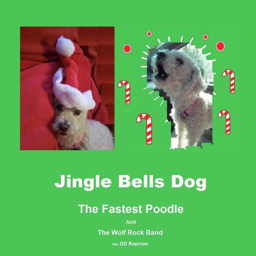 Jingle Bells Dog