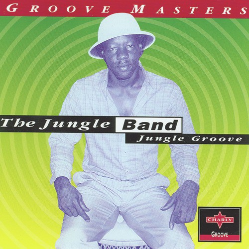 Jungle Groove_poster_image