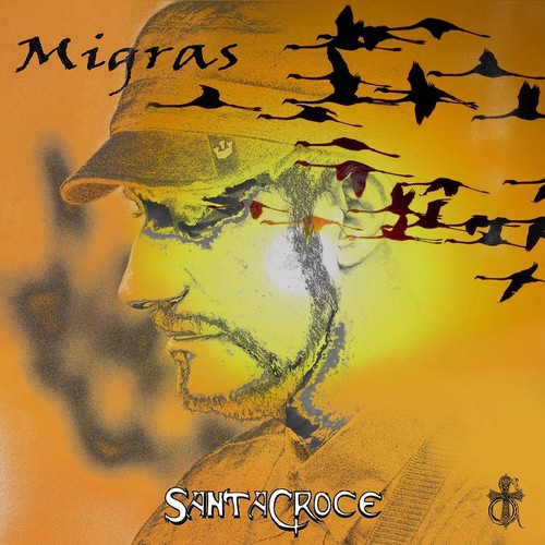 La fiaba dulcamara cover art