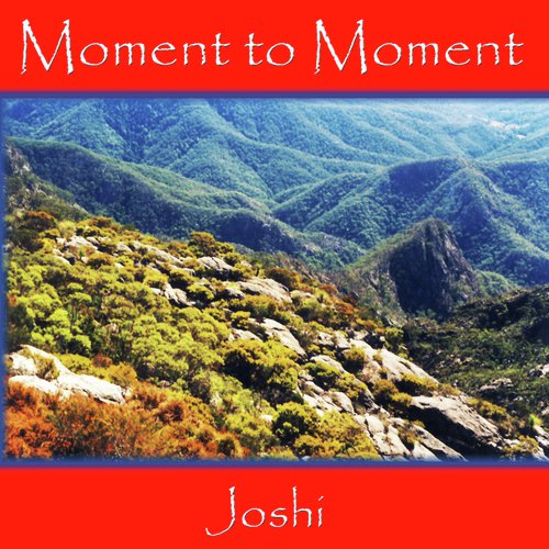 Moment to Moment_poster_image