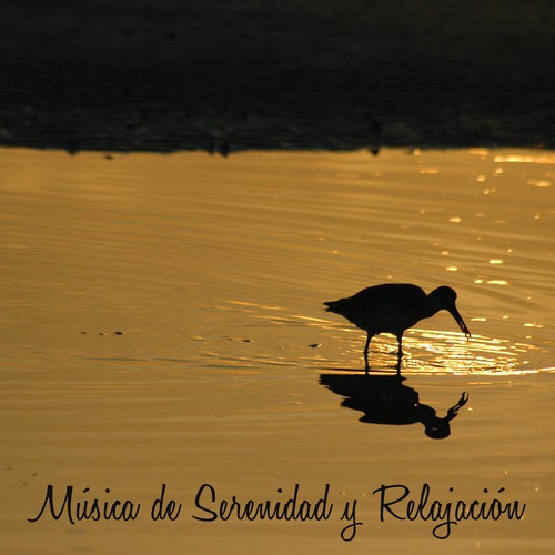 Musica Relajacion cover art