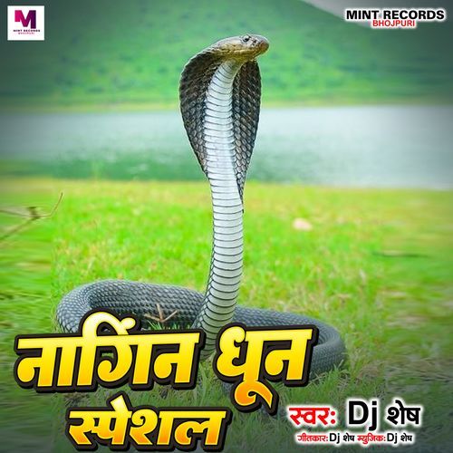Nagin Dhun Special