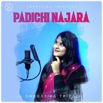 Padichi Najara
